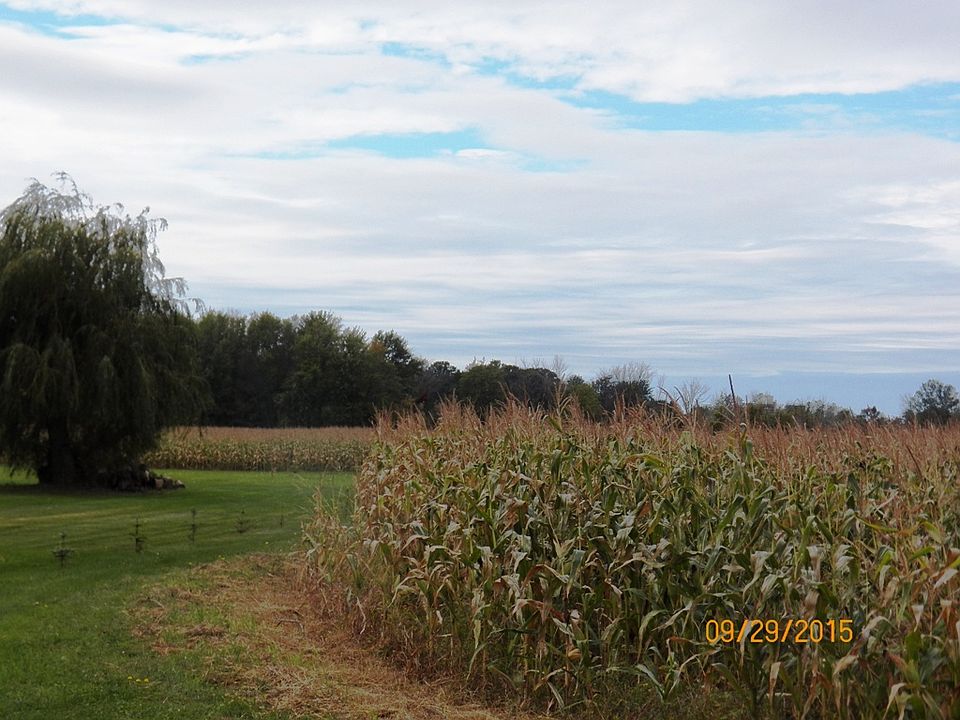2nd image of Vandyke