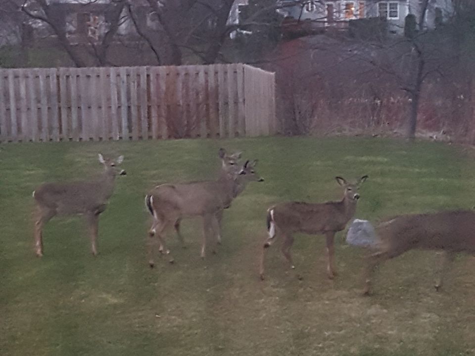 1st image of 3518 Julie Dr