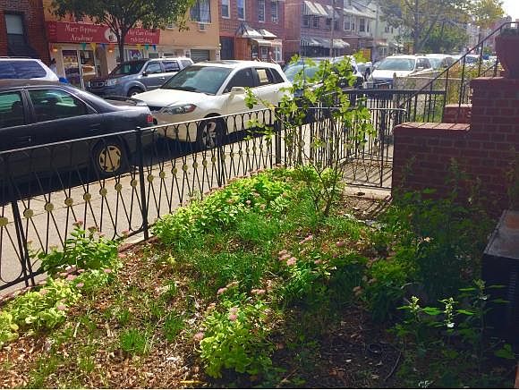 2nd image of 1376 W 7th St