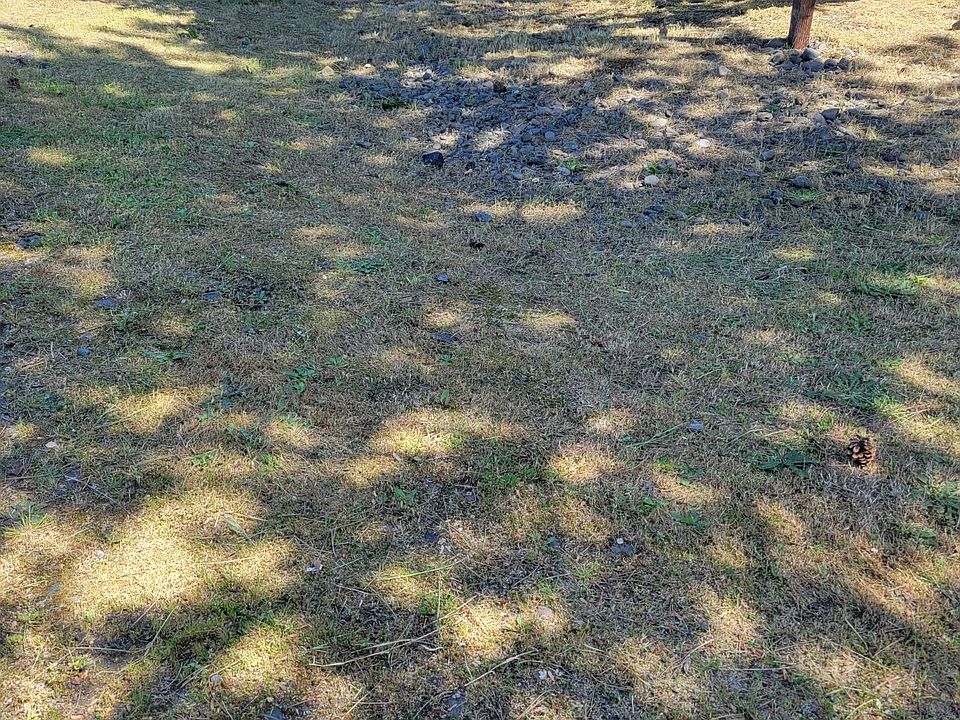 1st image of 2700 Falcon St