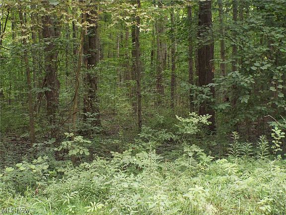 5th image of 3243 Hines Rd