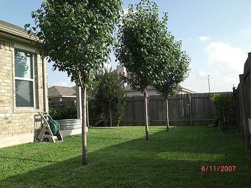 Side Yard Back