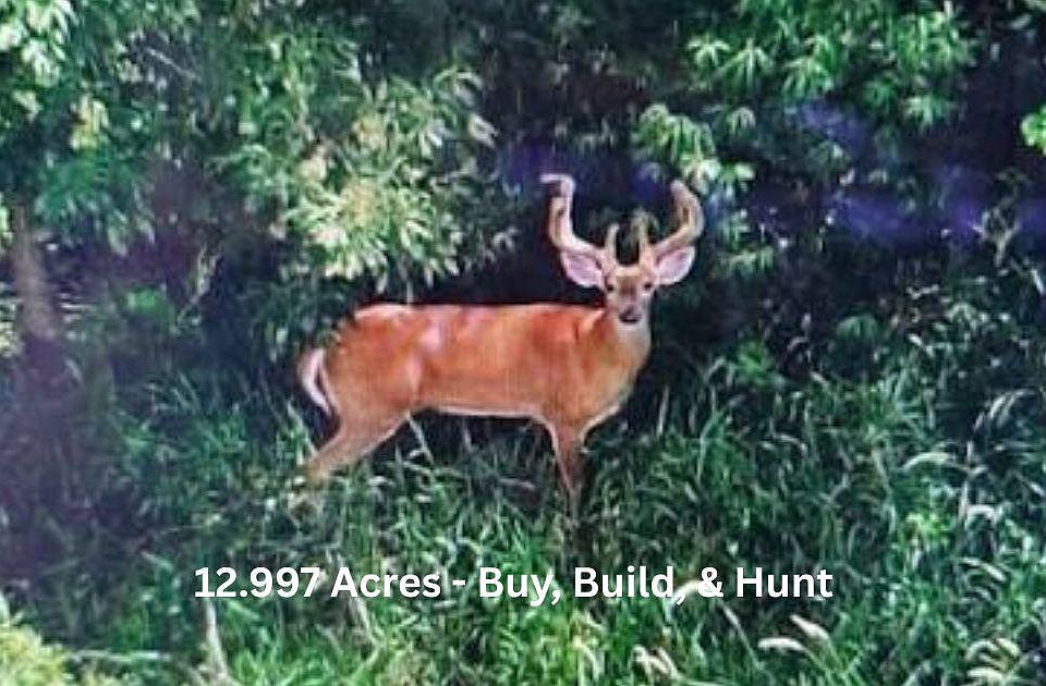 1st image of Eleys Ford Rd