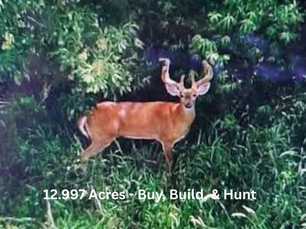 Eleys Ford Rd, Lignum, VA 22726