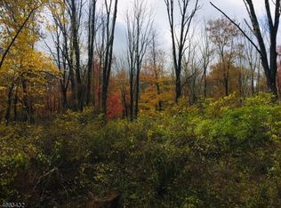 107 Mount Lebanon Rd, Glen Gardner, NJ 08826