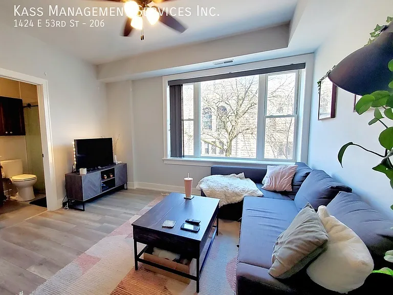 5228-34 S Blackstone / 1424-28 E 53rd St — Photo 12