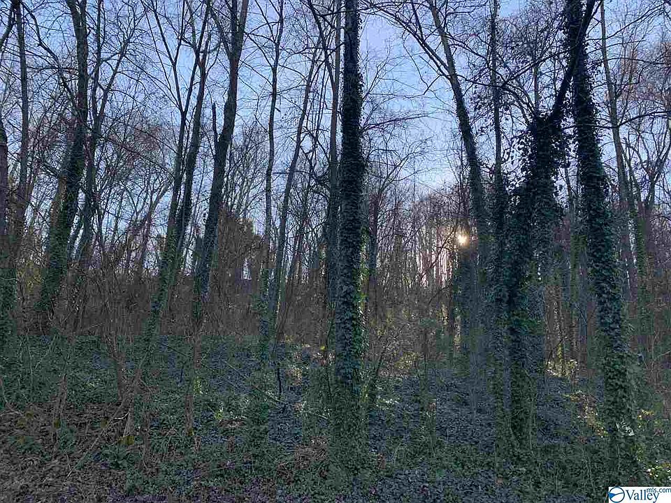 2nd image of 11 Willow Beach Rd