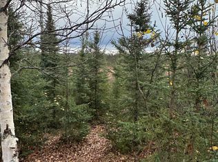 31395 E No Rd, Talkeetna, AK 99676