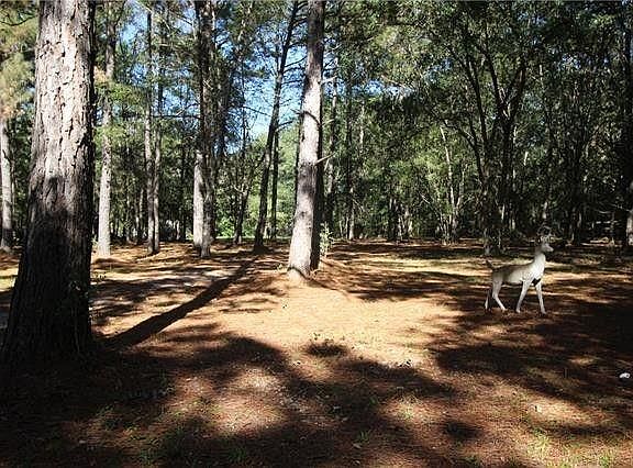 5th image of 114 Emerald Valley Dr