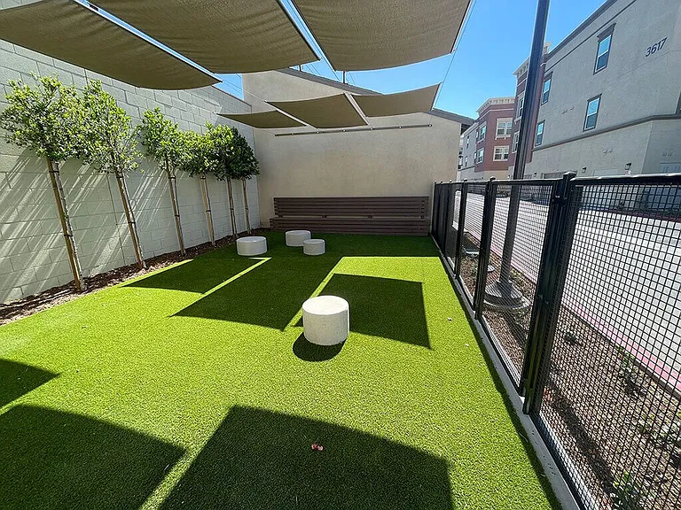 Citron Apartment Homes — Photo 24
