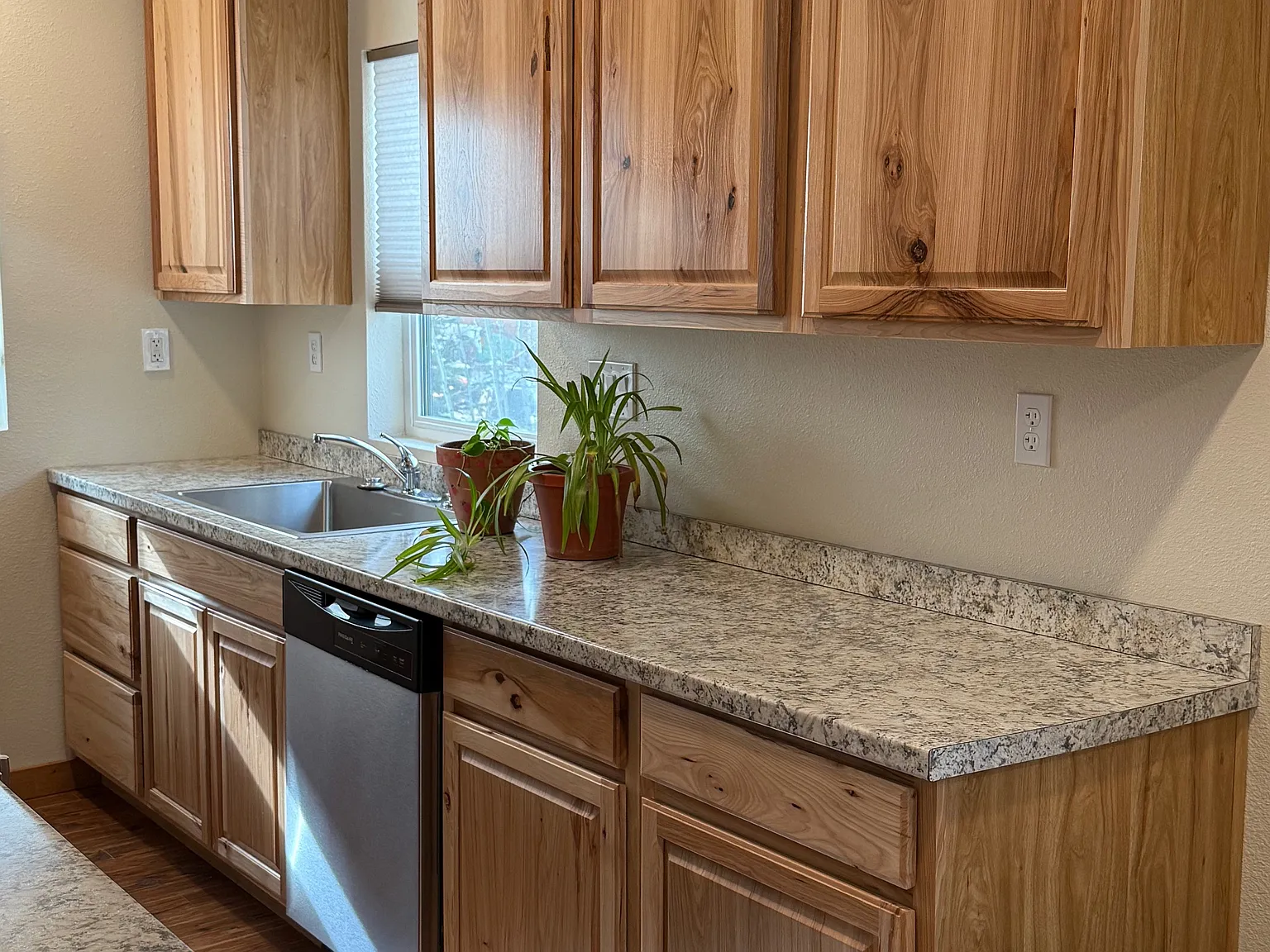 1 bed, 560 sqft, $2,000 — Photo 4