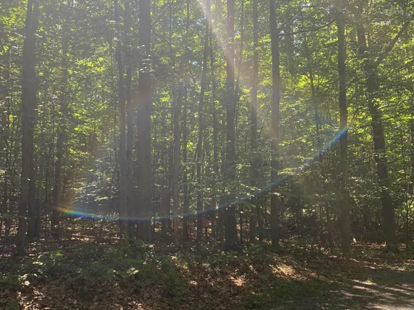 LOT 10 W Woodridge Dr, Mears, MI 49436