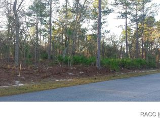 95 Daisy St, Homosassa, FL 34446