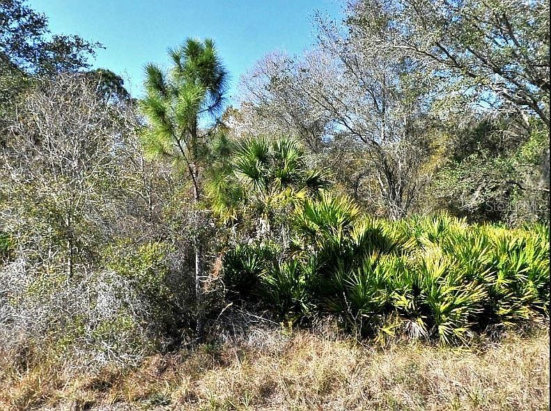 2nd image of NORTON DRIVE LOT 20