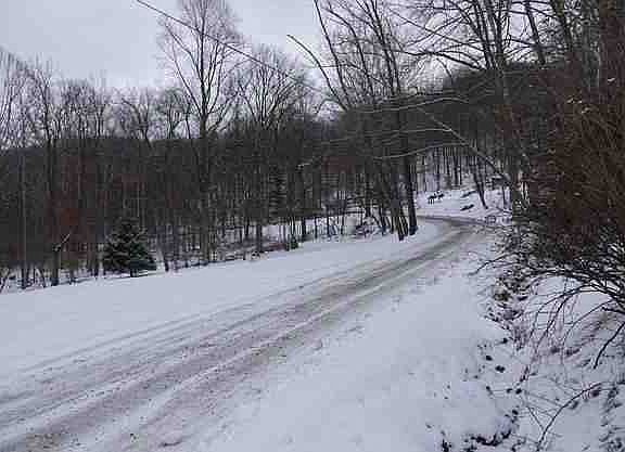 2nd image of 37 Boggs Mill Rd