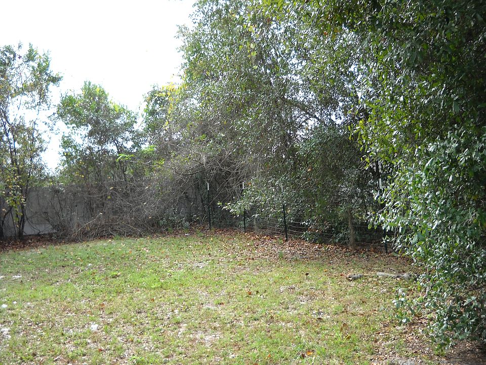 backyard, large