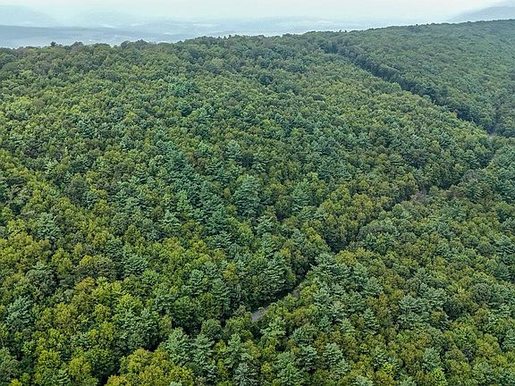 3rd image of Mountain Rd