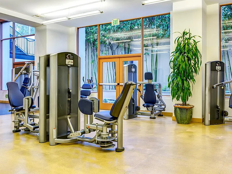 Professional fitness center