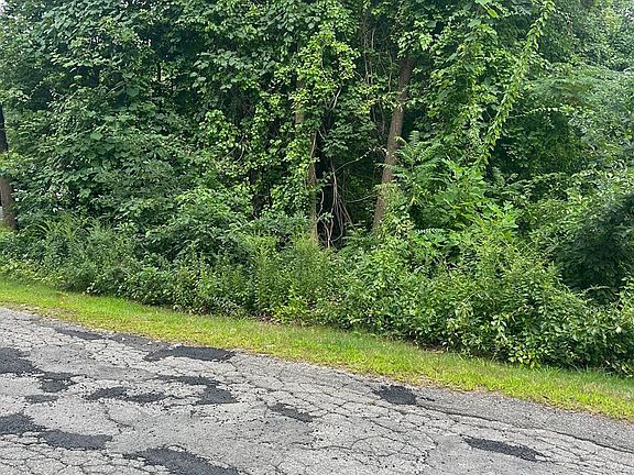 3rd image of 56 Birch Hill Rd