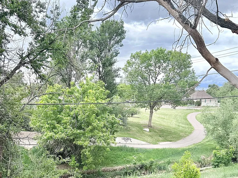 Scenic view of lush green creekside pathway