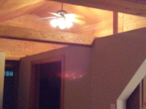 Wood vaulted ceiling 