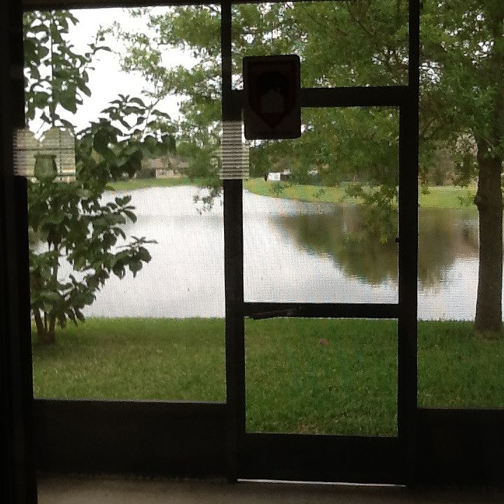 2nd image of 1237 Serengeti Way