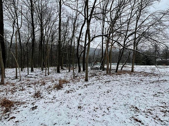 5th image of 562 Scotch Valley Dr