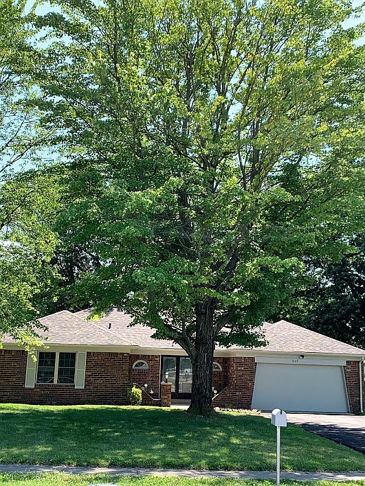 1st image of 3109 Anniston Dr