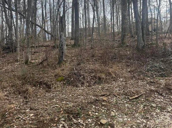 Rockastle Shores Ferrell Circle I #26, Cadiz, KY 42211