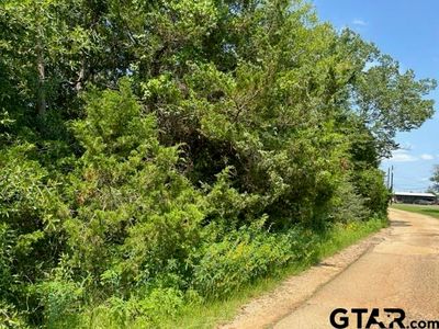 1231 & 1247 Red Bud Cir, Bullard, TX, 75757