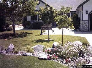 Front yard 