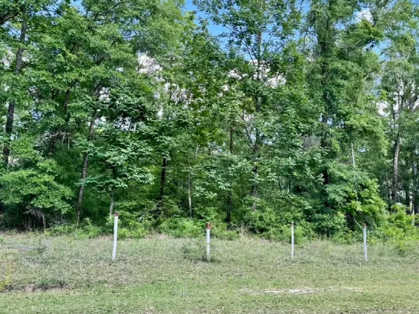 LOT 3 NW Southern Oak Ter #3, Jennings, FL 32053