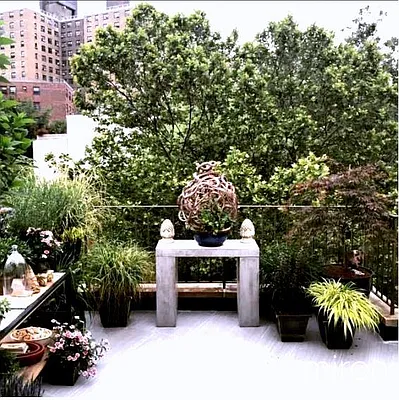 Rented by Miron Properties | media 4