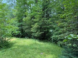 5217 N Tower Rd, Winter, WI 54896