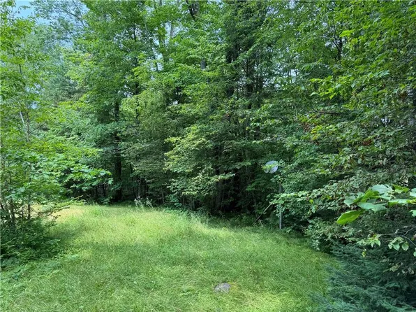 5217 Tower Road, Winter, WI 54896