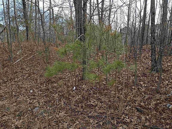 2nd image of 0 Highway 18 Lot 0