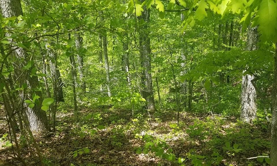 1st image of 0 Aspen Ct