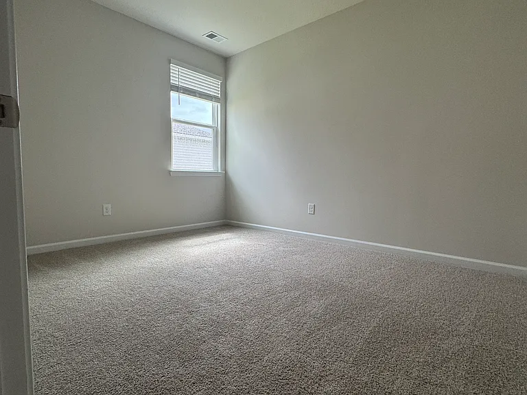 411 Hadley Springs Ave #398 — Photo 13