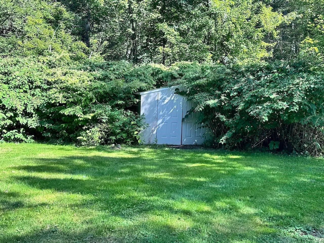 2 bed, 1.0 bath, 988 sqft, $2,400 — Photo 4