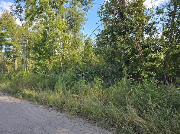 150 County Road 358, Jasper, TX 75951