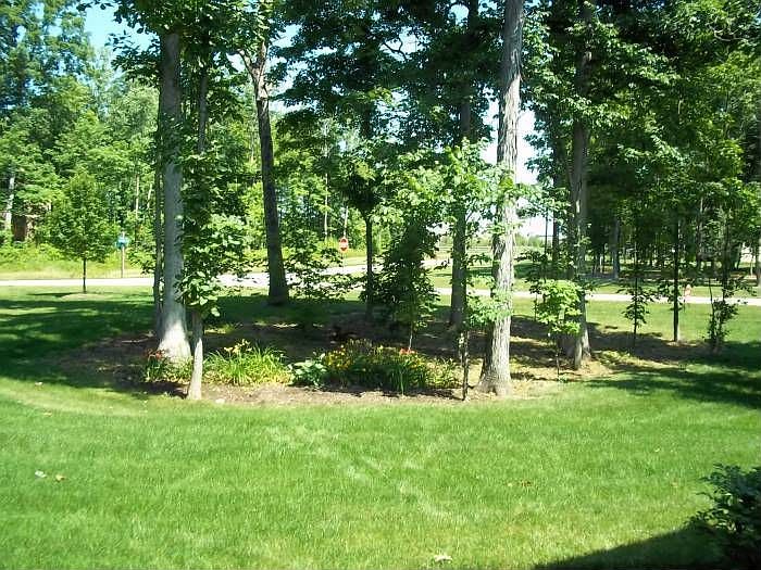 View from Front Porch