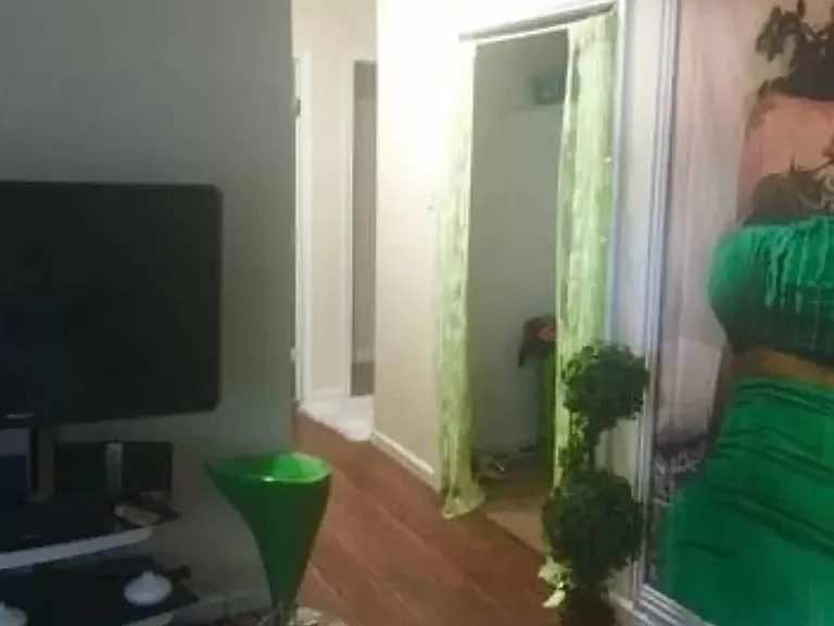 536 Greenleaf Ln — Photo 2