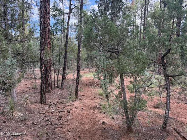 361 W Sierra Pines Dr, Show Low, AZ 85901