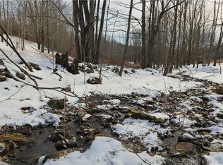 241 Budnick Rd, Parksville, NY 12768