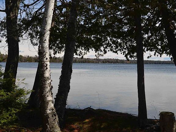 4th image of 14469 Birch Pointe Dr
