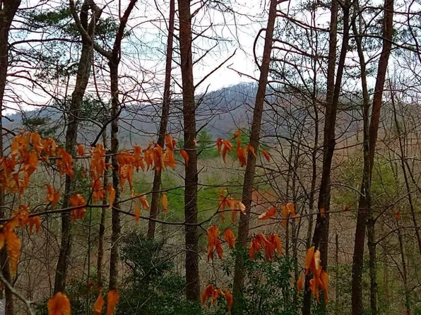 Hidaway Dr, Ellijay, GA 30536