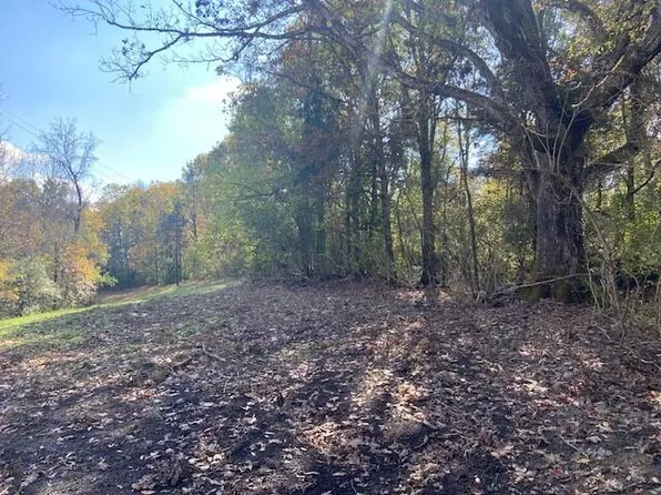 881 Galbraith Rd, Brooksville, KY 41004