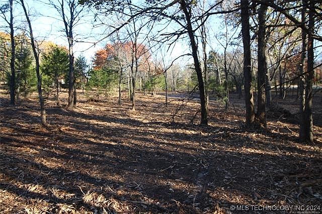 2nd image of 0 McDuffee Rd