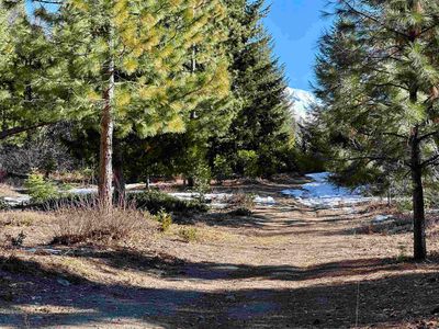 PARCEL 3 Deetz Rd, Mount Shasta, CA, 96067
