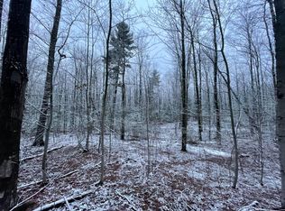 V/l 40a Voelm Rd, Wellston, MI 49689